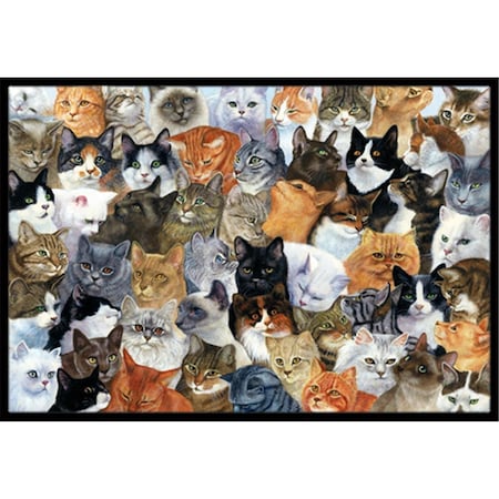 Jensendistributionservices Cats Galore Indoor or Outdoor Mat, 18 x 27 MI1718581